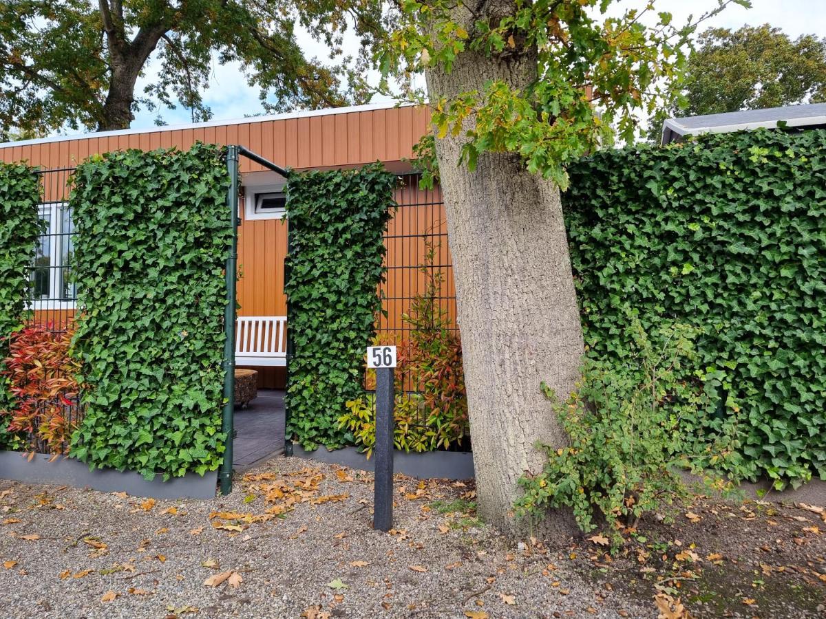 Vakantiewoning T'hoekje Zo04 Vakantiehuis Zoutelande